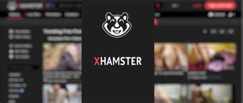 xxhamster|Best Porn Channels: Sex Video Producers & Creators